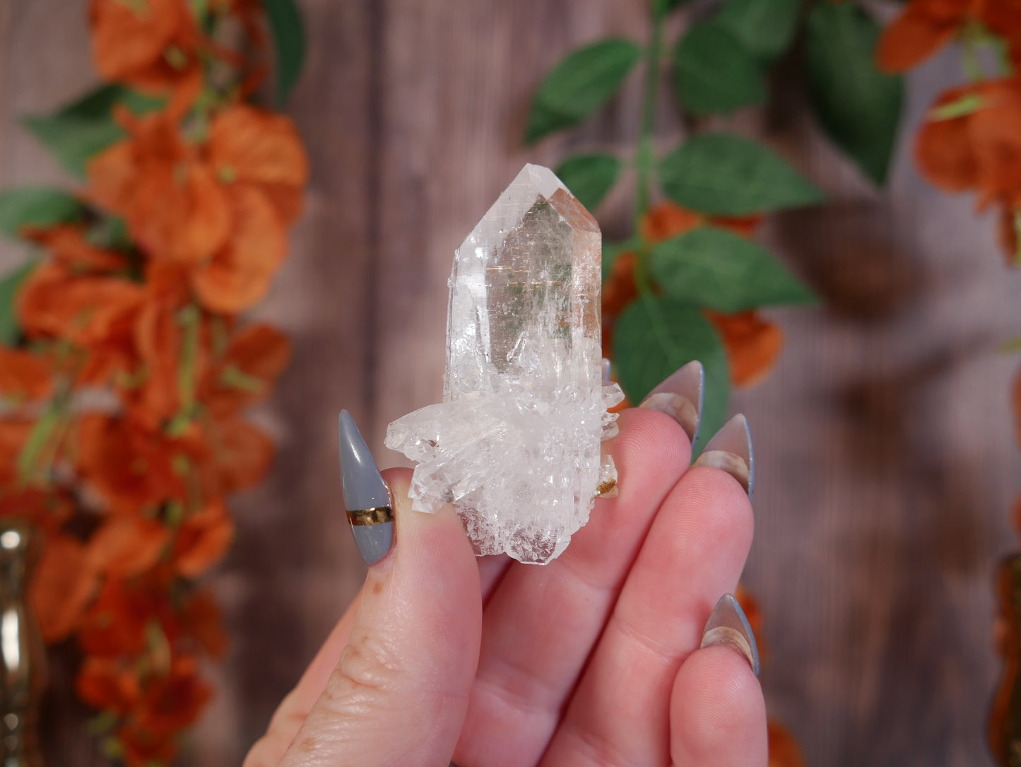 Himalayan Quartz #18
