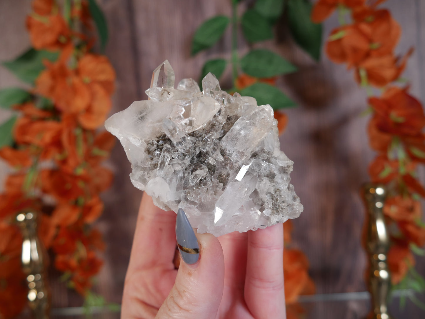 Himalayan Quartz #29