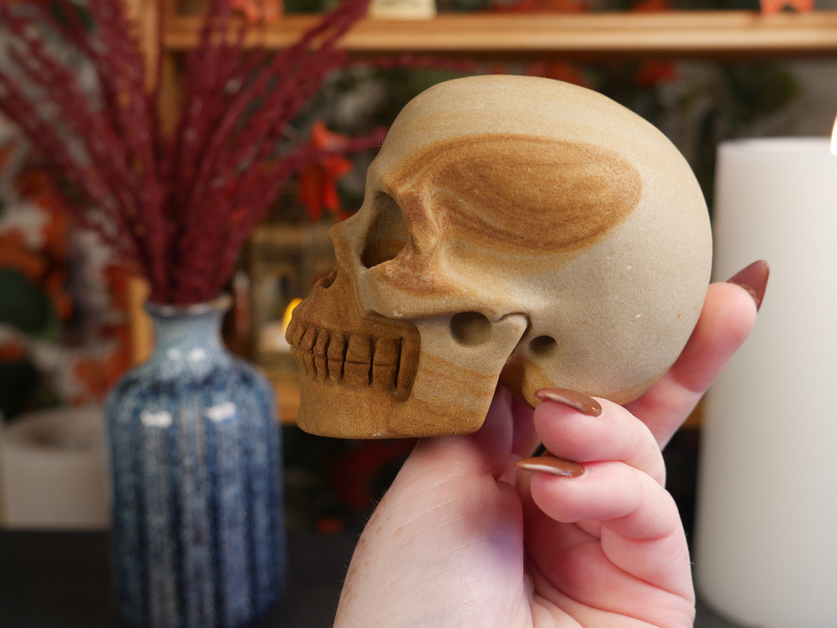 Picture Jasper Skull
