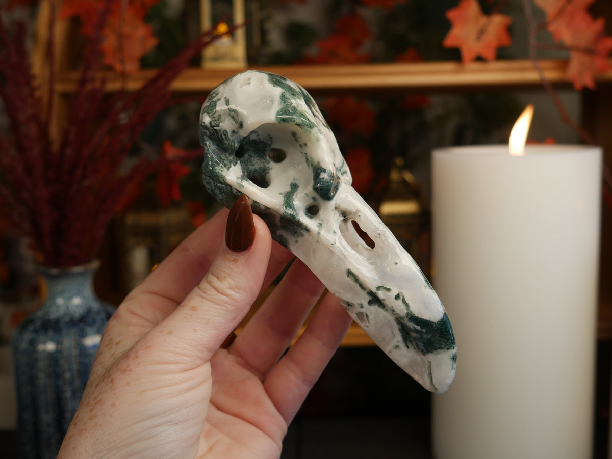 Moss Agate Raven Skull
