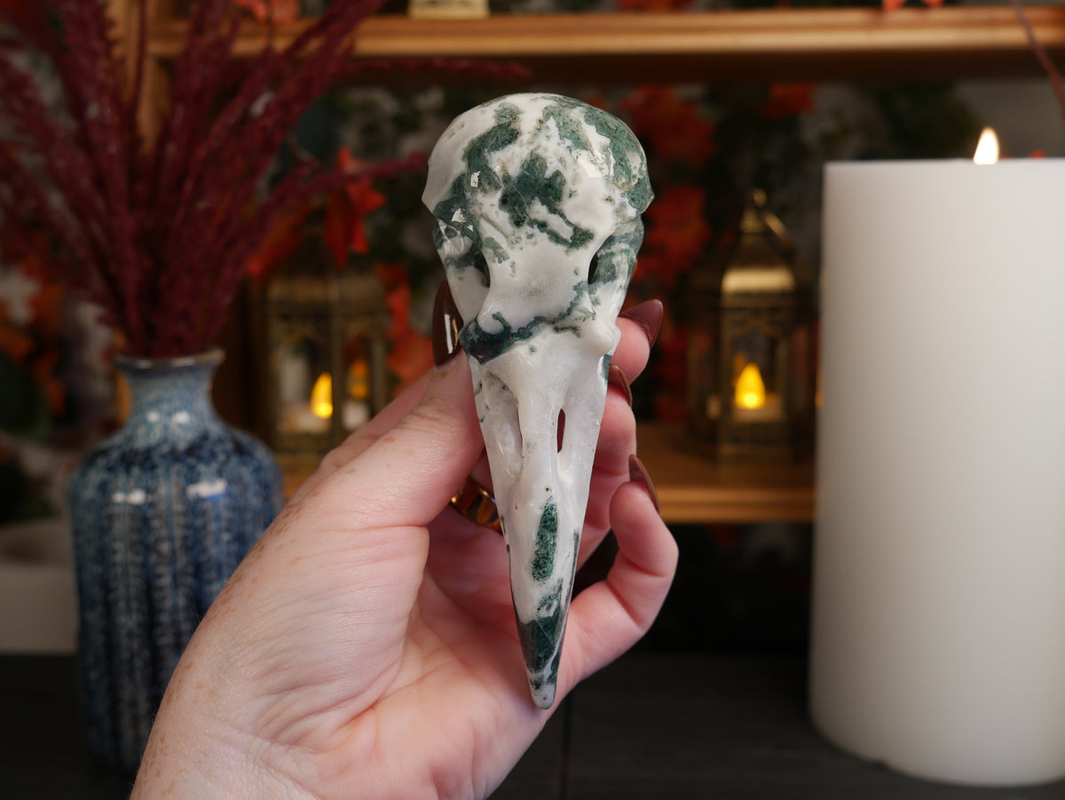 Moss Agate Raven Skull