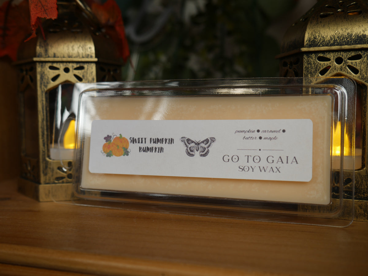 Sweet Pumpkin Bumpkin Wax Melt - LIMITED EDITION