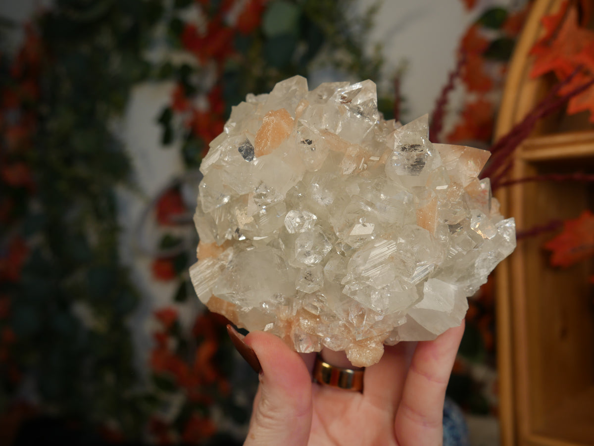 Diamond Apophyllite #24