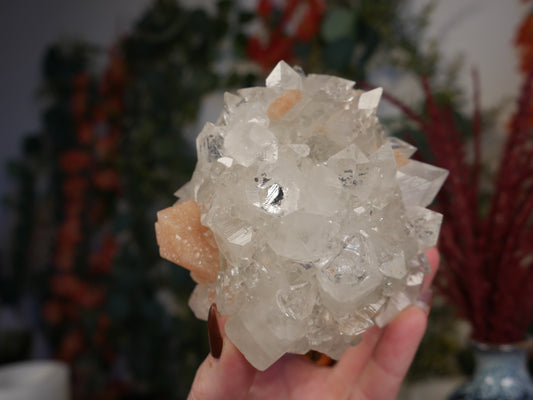 Diamond Apophyllite #23