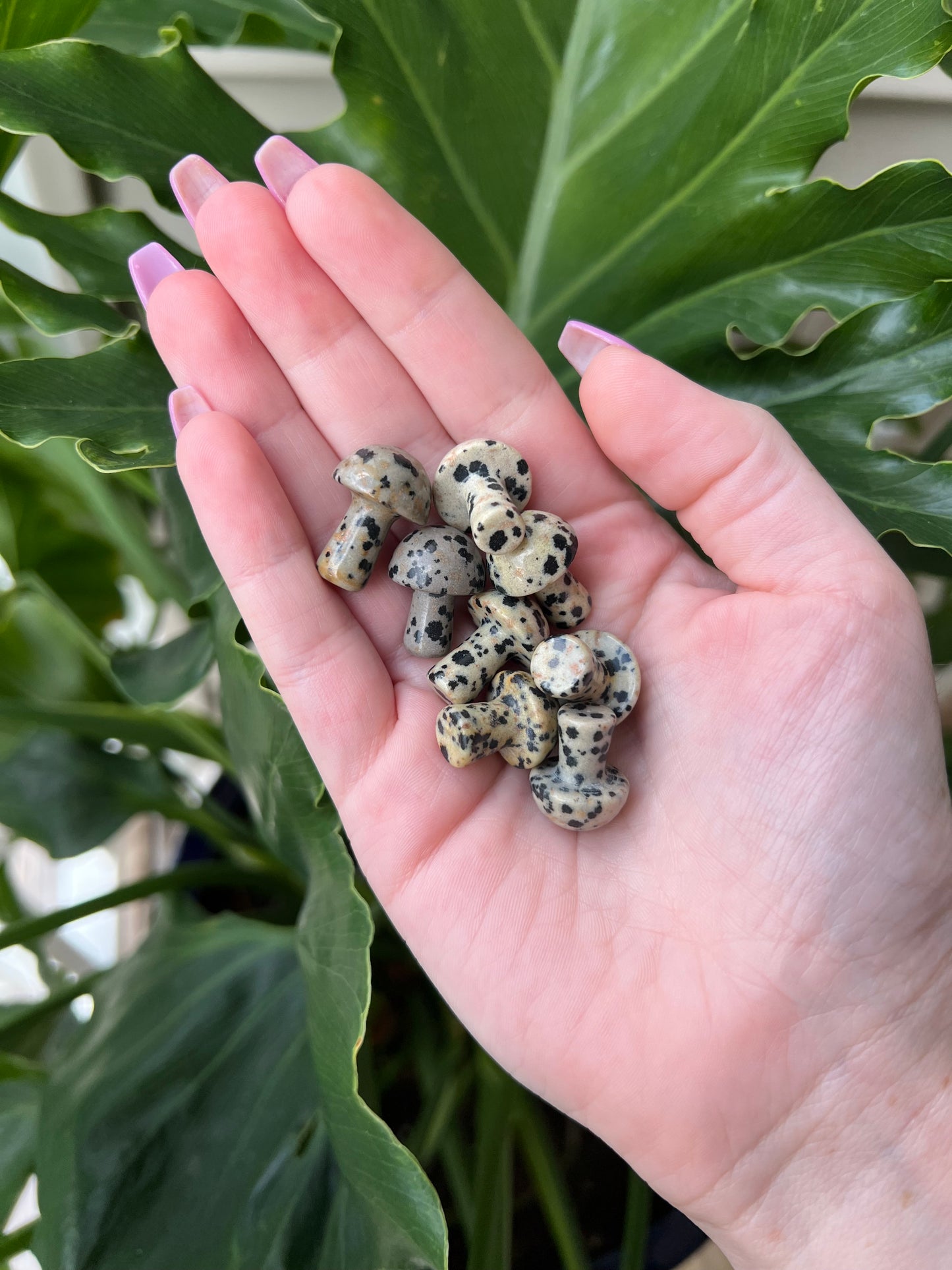 Dalmatian Jasper Mini Mushroom